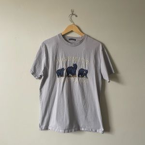 Brandy Melville, light blue Yosemite bear T-shirt